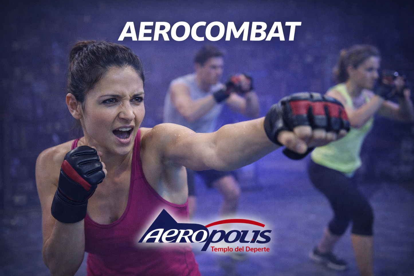 PLANES AEROCOMBAT MENSUAL