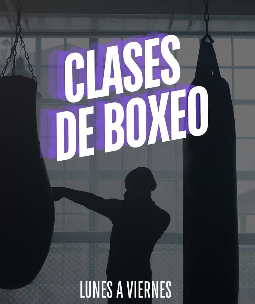 Clases de boxeo