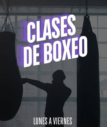 Clases de boxeo