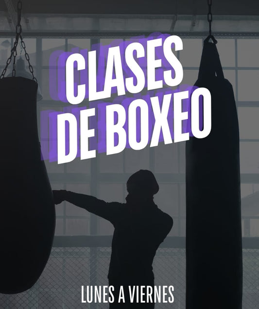 Clases de boxeo